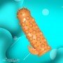 Extensions Enlarger Men Spike Condoms PES-018