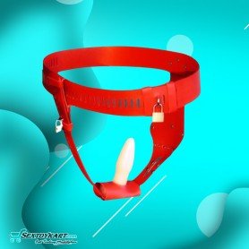 Chastity Lock Device for Women BDSM-002