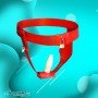 Chastity Lock Device for Women BDSM-002